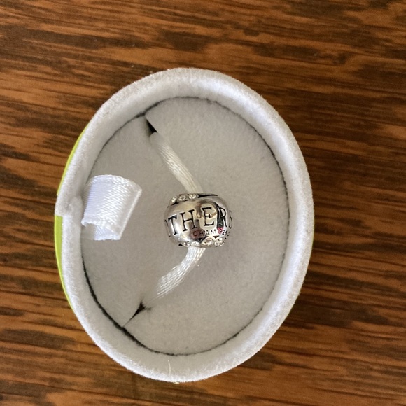 Chamilia Brothers charm with Swarovski crystals - Picture 4 of 4